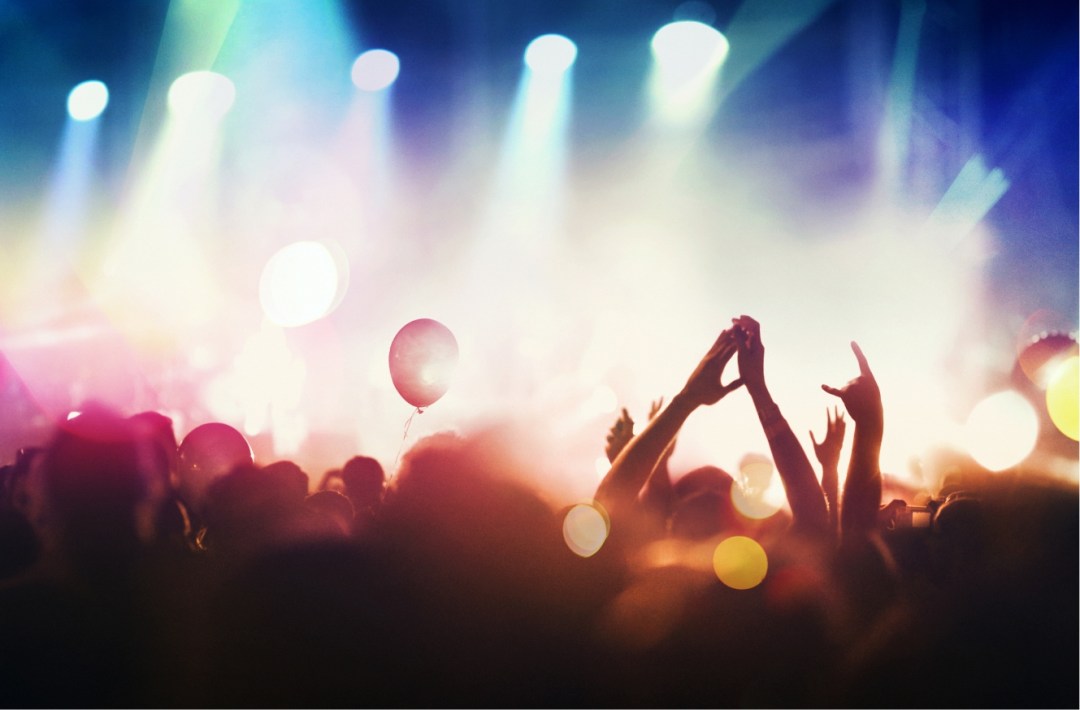 Concert Crowd