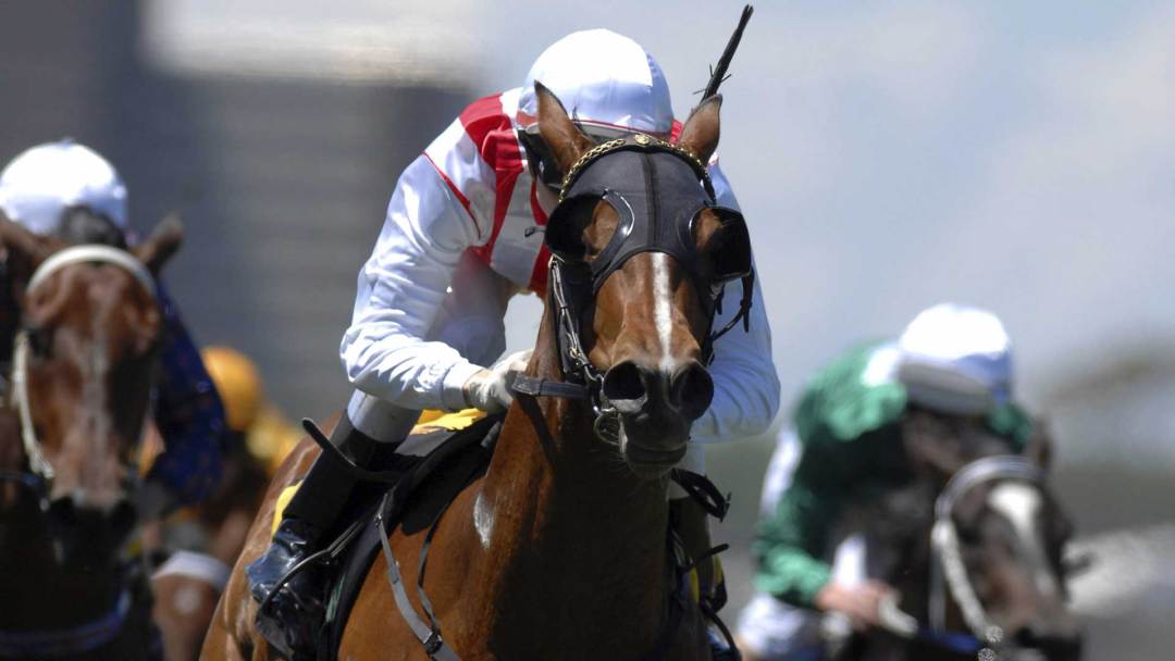 Horse Racing