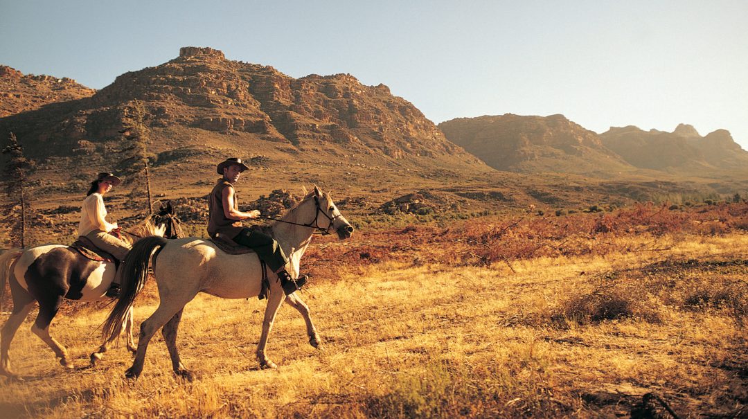 Red Rock Horse Back Riding