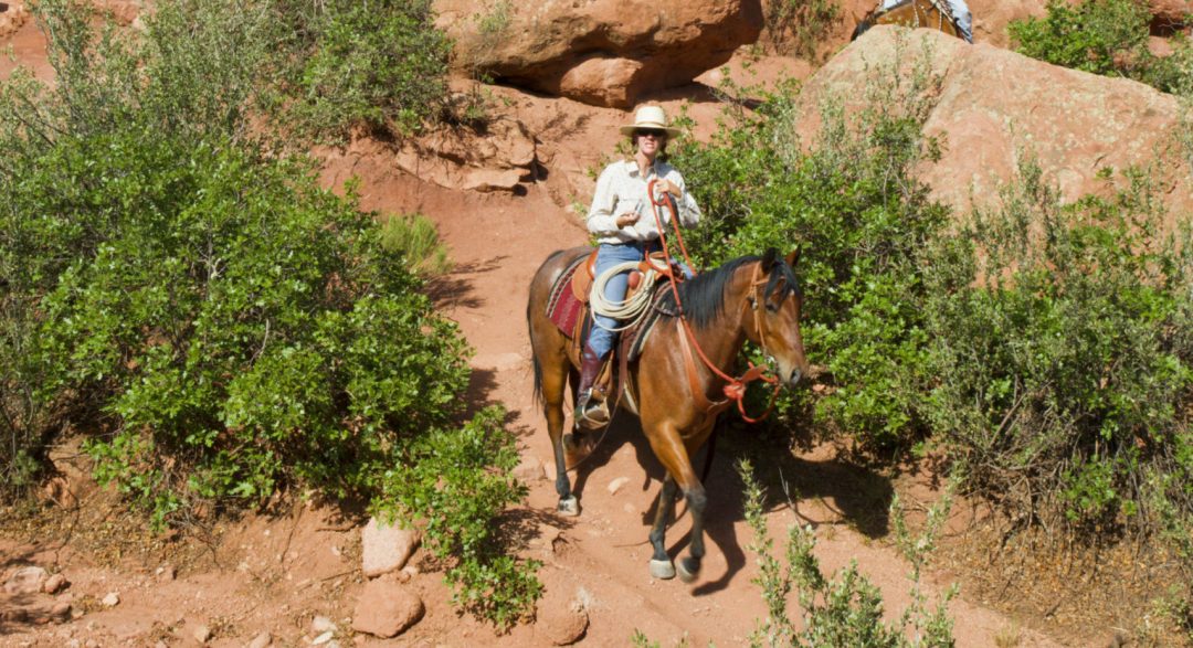 Red Rock Trail Horseback Riding