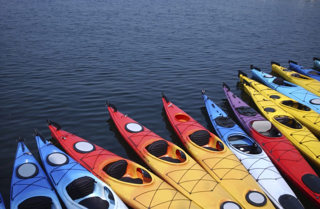 Black Canyon Kayaking